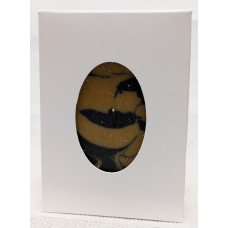 Essence of Being Narcissist Aloe, Turmeric, Charcoal Soap